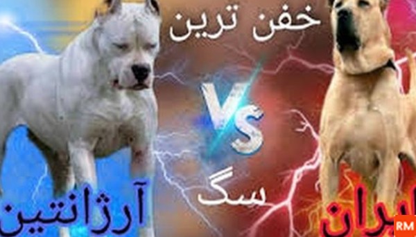 عکس فیلم سگ سرابی