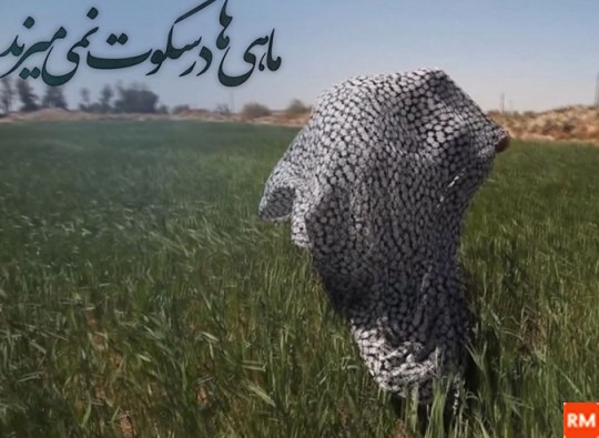 عکس فیلم ماهی ها